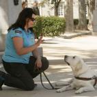 5c8a7b6e2400005405a321b9