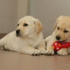 5c8a7b6f2500001304c917fa