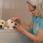 5c8a7b6f2300002f00e69ef9