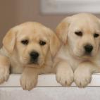 5c8a7b6f2300005400e69efb