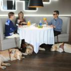 5c8a7b702000009d036f34fa