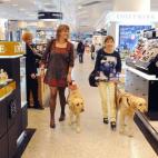 5c8a7b7125000052068131c4