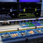 Comienza la subasta: los pescados desfilan por las cintas esperando que se abra la puja.