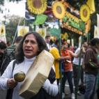 5c8b42ff3b000054066d4fd0