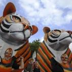 5c8b43002400006d054d3349