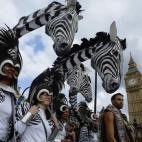 5c8b430024000093024d334b