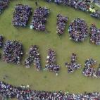 5c8b4302250000e203ca636b