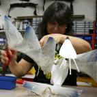 En total 140 personas trabajan para hacer posible El Rey León: se incluyen desde los propios actores hasta personal técnico, maquillaje, vestuario o los veterinarios de la selva. Ellos trabajan por turnos en la sala de lo que llaman puppets (m...