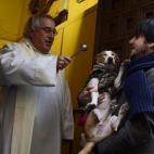 5c8b71473b000002076d98a3