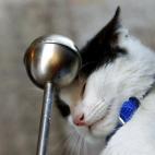 5c8b71482500000704caad1f