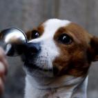 5c8b71482300005400e834b7