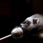 5c8b71482300005400e834ba