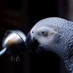 5c8b71492300002f00e834be