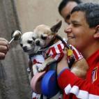 5c8b7149250000e203caad27