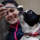 5c8b714922000033001aeb1c