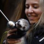 5c8b71492000009e0470c58e