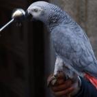 5c8b714922000030001aeb20