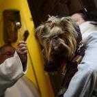 5c8b714a250000e203caad2b