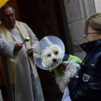 5c8b714a22000030001aeb24