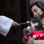 5c8b714a22000030001aeb27