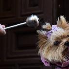 5c8b714b2500000704caad2f