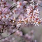 5c8a7b45250000580681319b