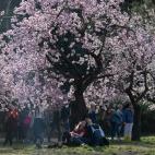 5c8a7b47360000ba1a6b867a