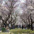 5c8a7b48250000520681319d