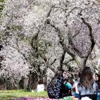 5c8a7b4b25000052068131a1