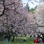 5c8a7b4c3b000070066c077f