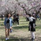 5c8a7b4d2500000a068131a3