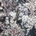 5c8a7b4d2000009e046f34e1