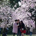 5c8a7b4e2400006d054be7e9