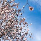 5c8a7b4f3b000054066c0784