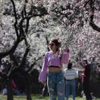 5c8a7b5325000058068131aa