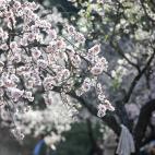 5c8a7b54360000a61b6b868e