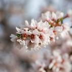 5c8a7b54250000bd058131ac