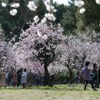 5c8a7b5523000004012327b2