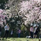 5c8a7b5820000043046f34e6