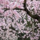 5c8a7b592500001304c917ec