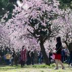 5c8a7b593b000054066c078e