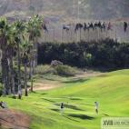 "Hice la fotografía para denunciar la situación y ha funcionado. La gente lo ha entendido", explica Palazón, portavoz y presidente de la asociación melillense Pro.de.in, a El Huffington Post. Está "contento" por haber ganado el premio, pero...