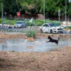 Las fuertes lluvias caídas durante la madrugada en la Comunidad de Madrid han ocasionando balsas de agua e inundaciones en viviendas, así como el cierre de algunos tramos de Metro y de túneles, lo que ha provocado a su vez retencioes de tráf...
