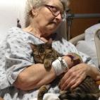 El gato Vincent visita a su dueña, que se rompió la cadera, en el hospital. (Image via Imgur)