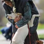 Una mujer abraza a su perro durante una protesta por los derechos de los animales en Bucarest. (Photo credit DANIEL MIHAILESCU/AFP/Getty Images)