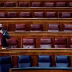 Abascal, solo en el Congreso.