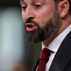 Santiago Abascal durante su intervenci&oacute;n.