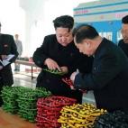 5c8a9646360000a61b6ba70e