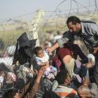 5c8aa185230000dd0423617c