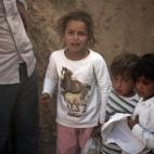 5c8aa18d230000d50423618c